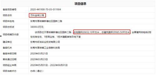 爆料最新项目是什么意思,最新爆料项目大揭秘！